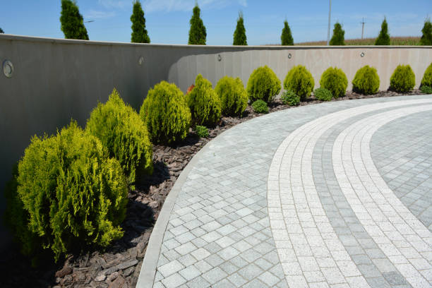 Paver Driveway Replacement in Lenexa, KS
